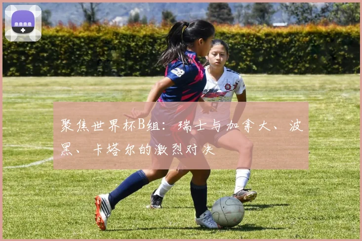 聚焦世界杯B组：瑞士与加拿大、波黑、卡塔尔的激烈对决