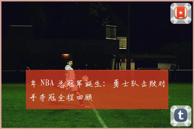 年 NBA 总冠军诞生：勇士队击败对手夺冠全程回顾