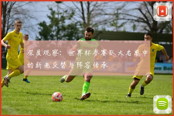 深度观察：世界杯参赛队大名单中的新老交替与阵容传承