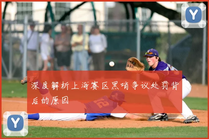 深度解析上海赛区黑哨争议处罚背后的原因