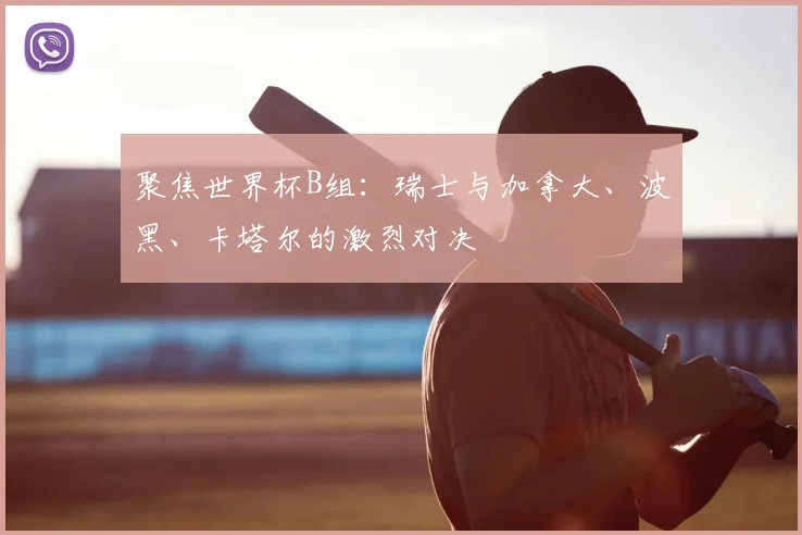 聚焦世界杯B组：瑞士与加拿大、波黑、卡塔尔的激烈对决